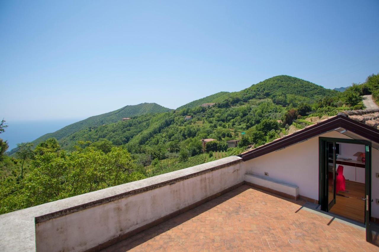 Agriturismo Villa Lupara Salerno Ngoại thất bức ảnh